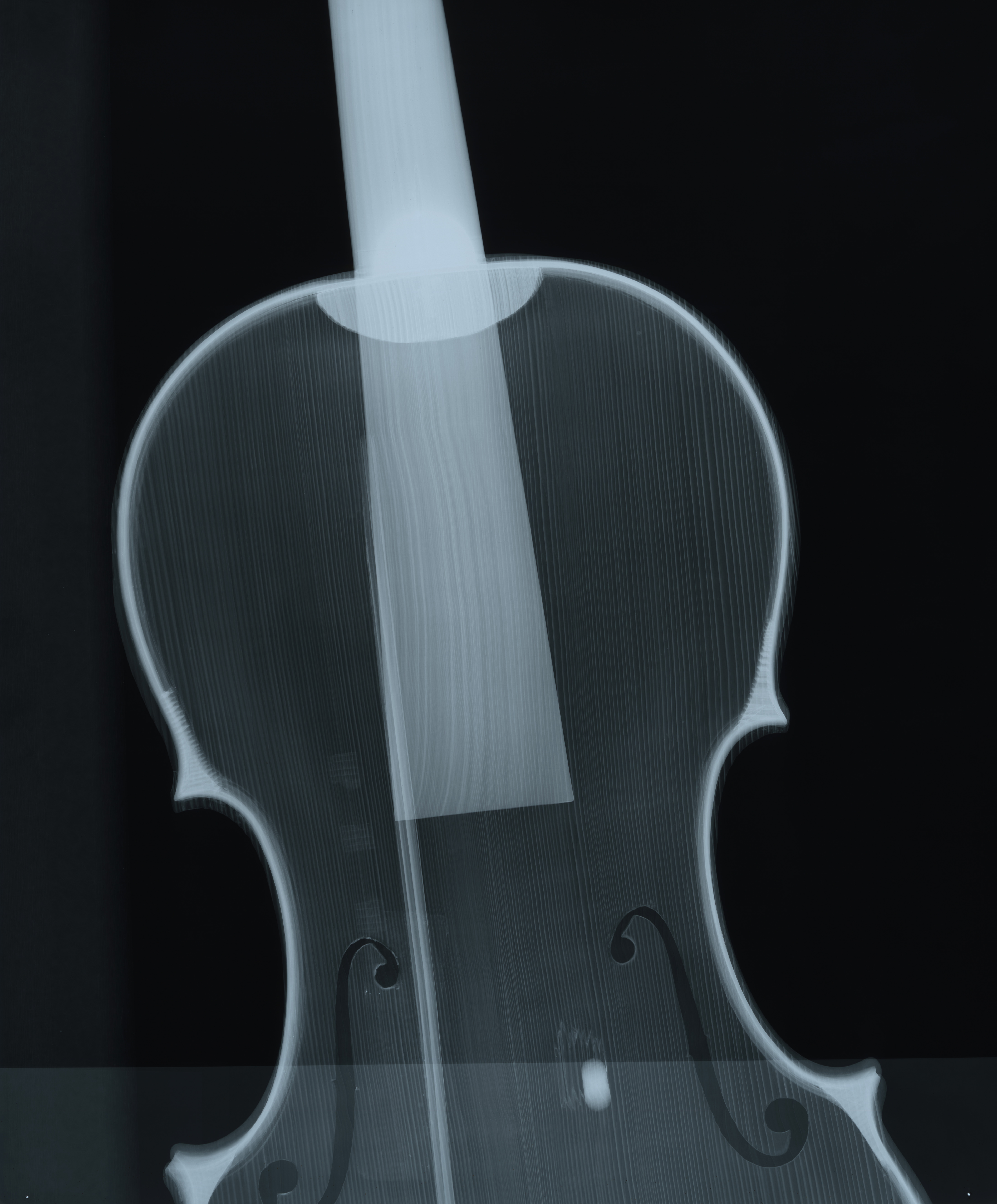 ヴァイオリンのレントゲン写真
